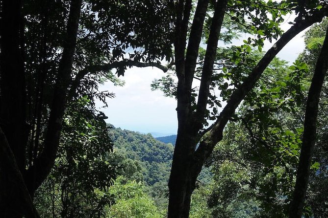 Chaesorn National Park Trekking - Safety and Health Considerations