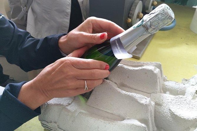 Champagne Lamiable: From the Vineyard to Your Own Bottle Full Experience - Transportation and Location