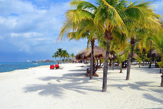 Chankanaab Park All Inclusive Day Pass and Snorkel With Lunch - Arrival and Check-in