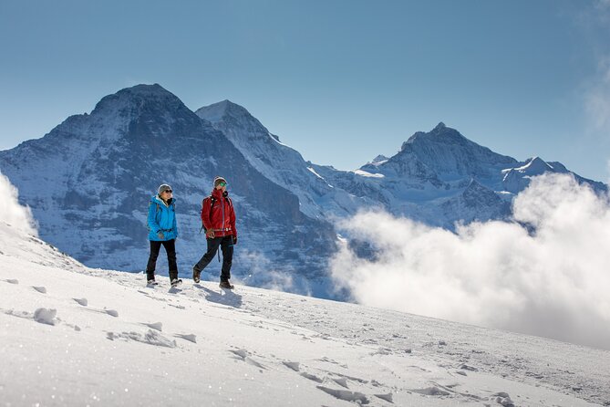 Cheese and Chocolate on Mountain Summit - Souvenir Chocolates for Loved Ones