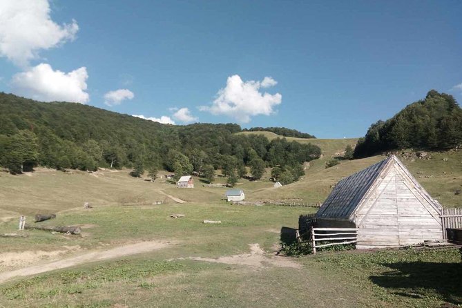Cheese Farm Tour in the Katun - Enjoying the Local Lunch