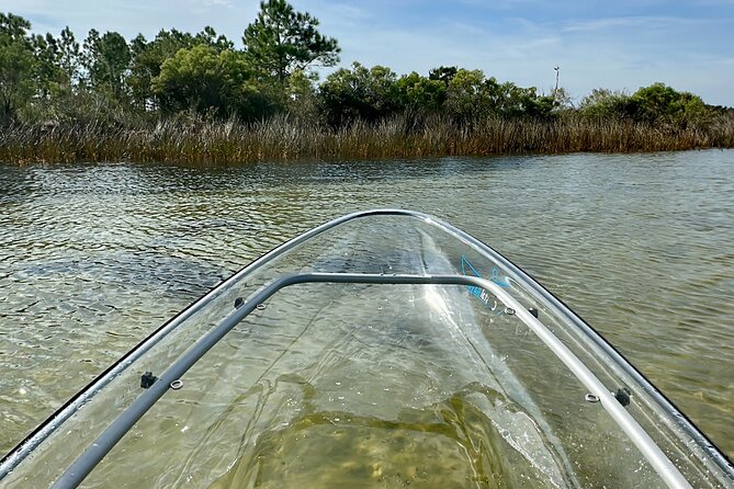 Clear Kayak Ecotour Destin Ft. Walton Beach - Things To Known