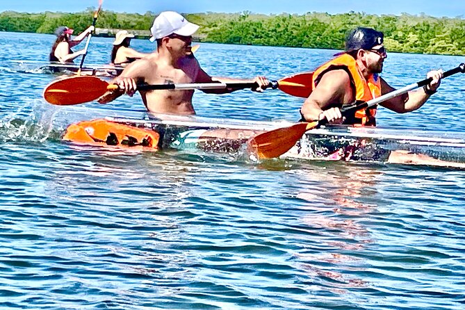 Clear Kayak Private Guided Day and Night Tours in Florida - Explore at Your Own Pace