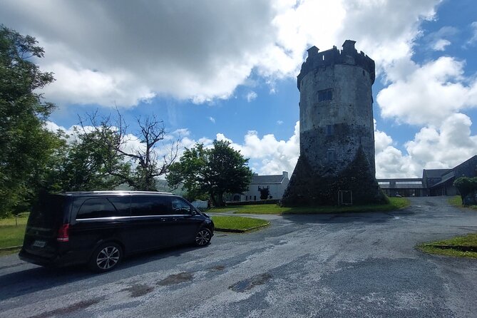 Cliffs of Moher and Wild Atlantic Way Private Tour From Galway - Professionalism and Comfort