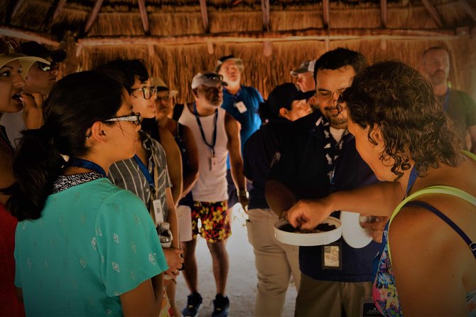 Coba and Tulum, Cenote Swim and Buffet Lunch - Discovering Tulum
