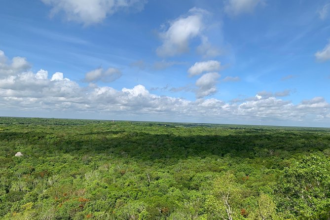 Coba Ruins and Punta Laguna Monkey Reserve Day Tour From Tulum - Included in the Tour