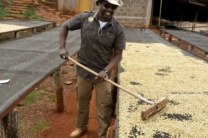 Coffee Farm Tour, Coffee Roasting and Tasting Experience - Logistical Details and Inclusions