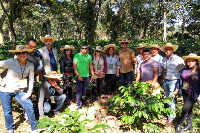 Coffee Museum and Coffee Tour at Cafe-tal Apan - Taking in the Plantation