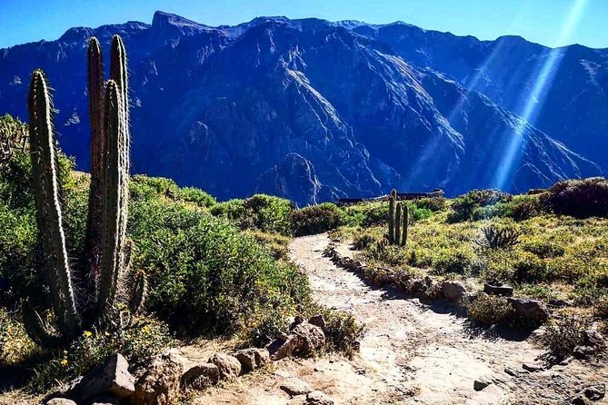Colca Canyon Excursion One Day - Participant Guidelines and Accessibility