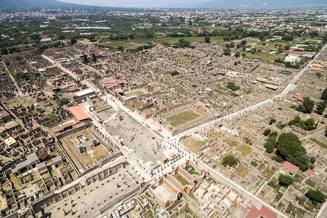 Combined Tour of Vesuvius and Pompeii Ruins With Audio Guide - Tour Pricing and Details