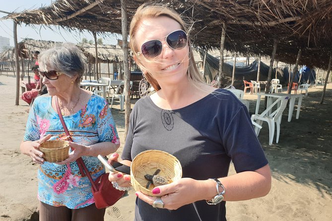 Combo 6 Hr Tour All City Highlights Divers Baby Turtle Release - Itinerary