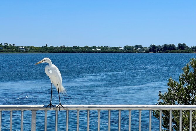Complete Guided Golf Cart Tour of Tarpon Springs - Additional Tour Options