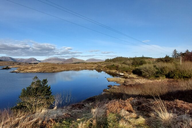 Connemara, Kylemore Abbey, Sky Road Private Tour From Galway - Private Transportation Details