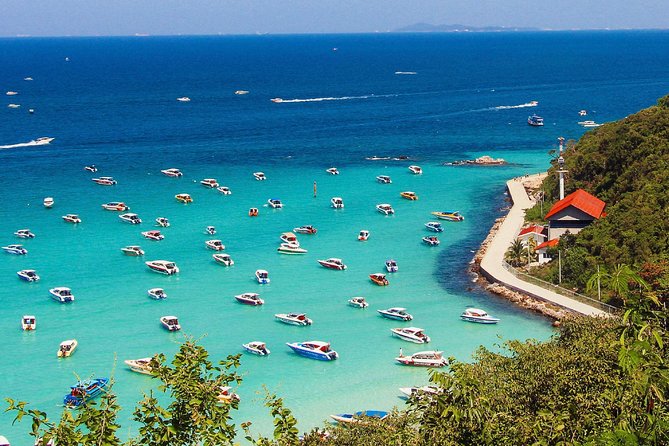 Coral Island (Koh Larn) & Sanctuary of Truth Private Tour From Pattaya –Full Day - Customer Reviews and Ratings
