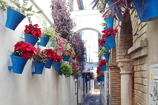 Cordoba Day Trip From Malaga - Shopping and Winery Visit