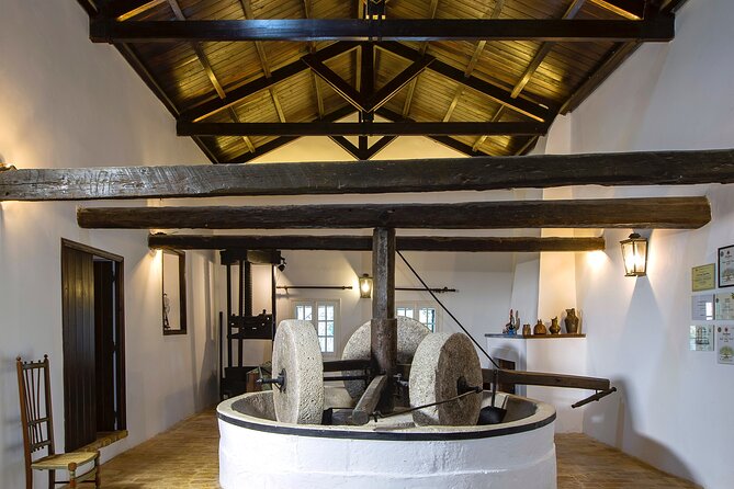 Corfu Organic Olive Oil Tasting at Family Farm - The Olive Oil Tasting Experience