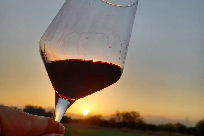 Corinth Winery Tour and Organic Fine Wine Tastings - What to Expect on the Tour