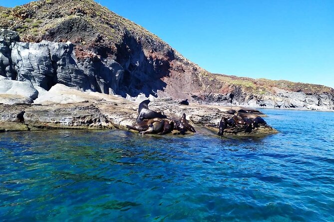 Coronados Island Tour - Exploring Coronados Island