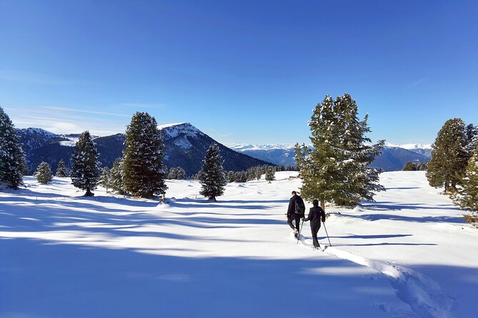 Cortina Dolomites: Winter Hiking & Sledding Experience - Cancellation Policy