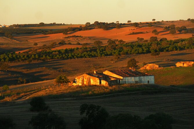 Costa Vicentina Week-Long Bike Tour From Lisbon  - Porto - Customer Reviews and Ratings