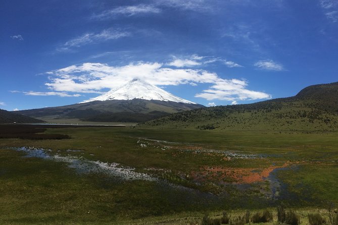 Cotopaxi Volcano (Private Day Trip From Quito) - Customer Feedback and Ratings Breakdown