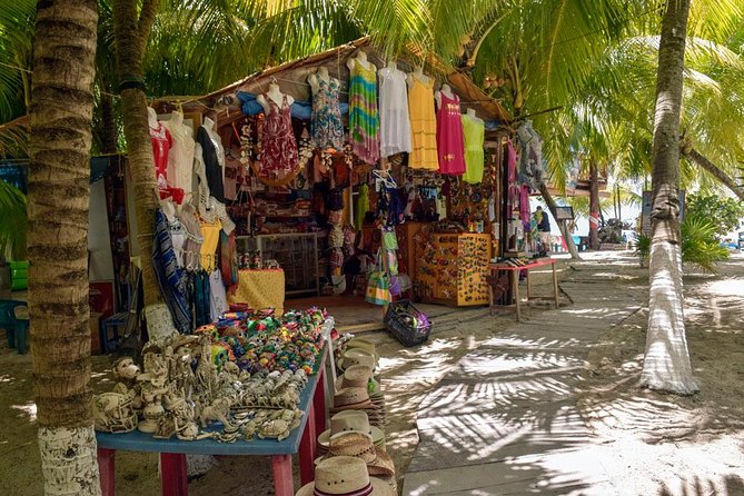 Cozumel Shore Excursion: 5-Hour Sightseeing Tour With Private Driver - San Gervasio Mayan Archaeological Site