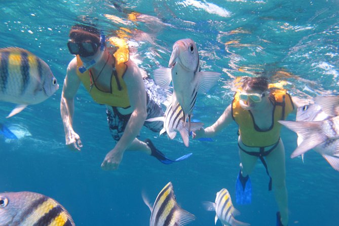 Cozumel Shore Excursion: Playa Uvas Private Beach Pass - Kayak Guided Tour