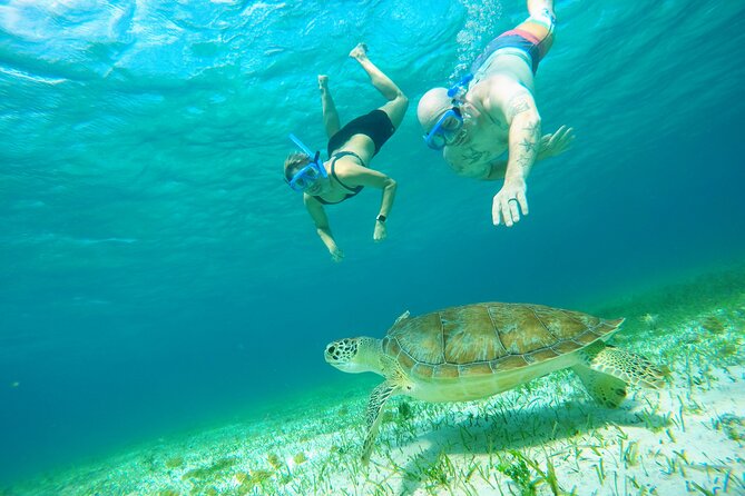 Cozumel Snorkeling Tour: Starfish, Stingrays and the Turtle Bay Experience - Cancellation Policy