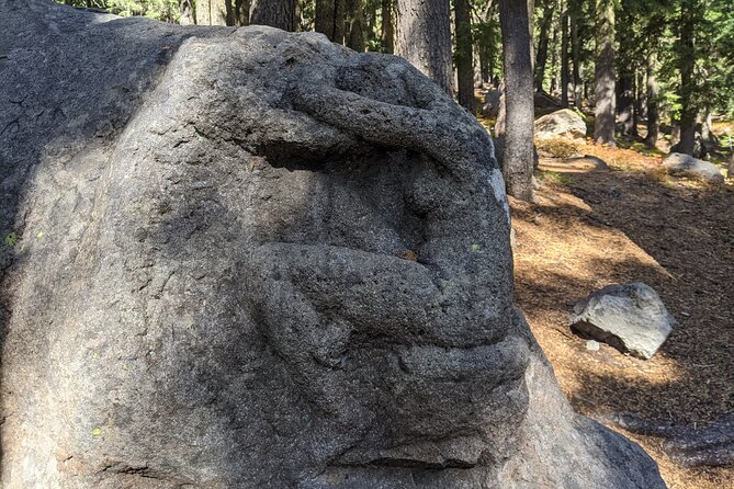 Crater Lake Day Shared Tour - Amenities and Provisions