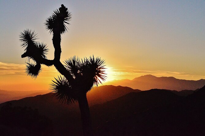 CreativeSoul ScavengerHunt(Hidden Valley,Joshua Tree)Remote Host - Recommendations for Future Participants