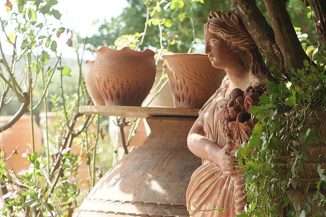 Cretan Wines & Olive Oil Tour - the Treasures of Crete - Unique Experiences and Activities