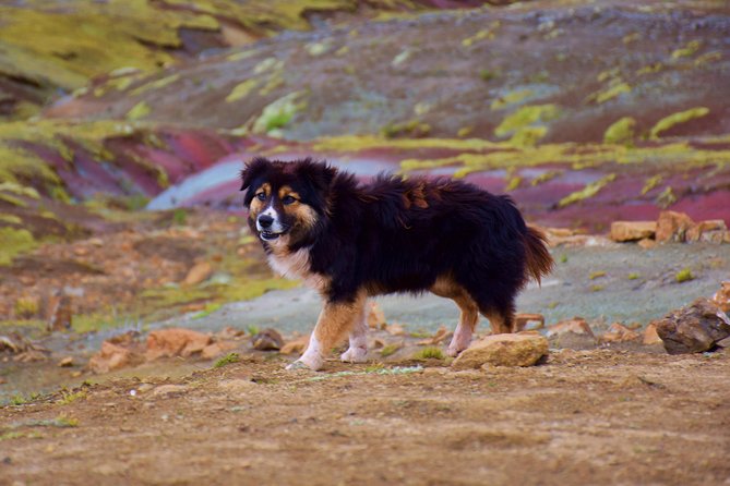 Cusco: Full Day Trekking in Palccoyo Mountain With Lunch - Safety Considerations