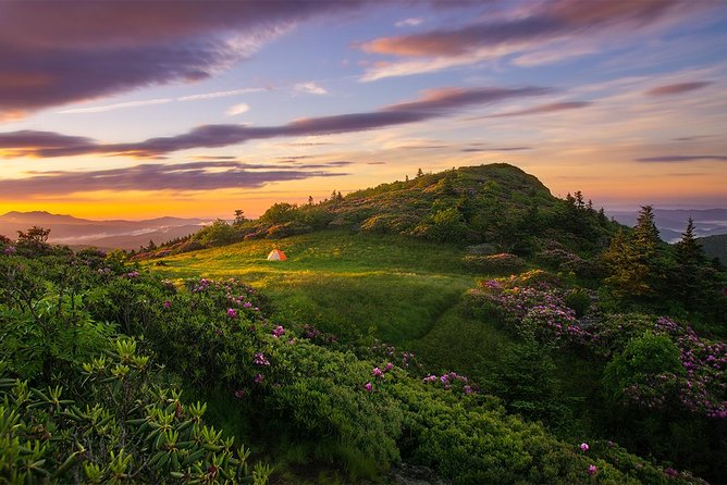 Custom Half-Day Photo Tour With Photography Lessons From Asheville - Personalized Itinerary Options