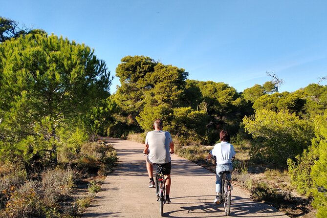 Cycle Albufera Lake, Rice Fields Paella and Boat Ride With Beach - Additional Experiences