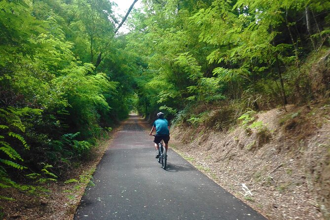 Cycling Ecopista Do Dão One Way, Full-Day From Coimbra - Cancellation Policy