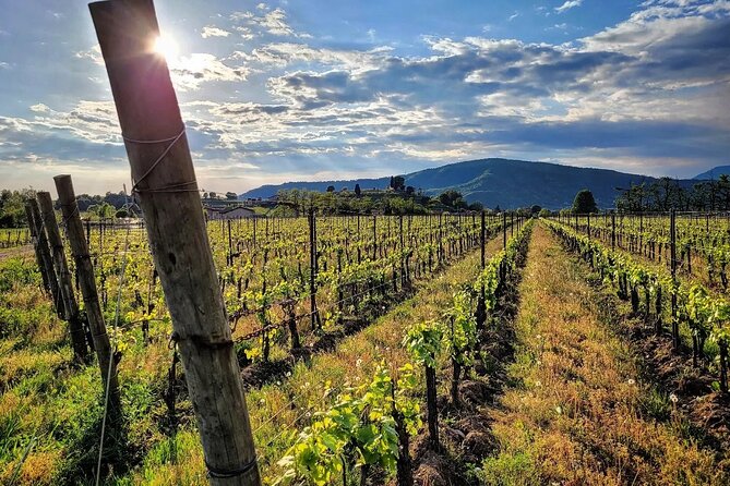 Cycling in Franciacorta and Lake Iseo, Single Private Tour - Pickup and Logistics