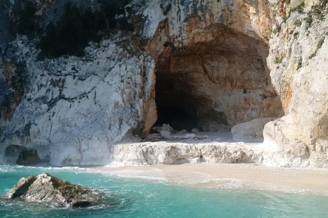 Daily Sailing Trip in the Orosei Coves With Lunch - Accessibility and Transportation