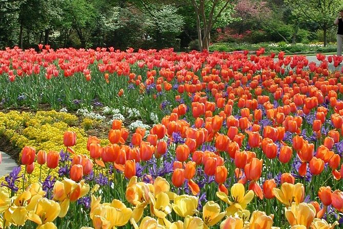 Dallas Arboretum and Botanical Gardens Tour - Exploring the Gardens