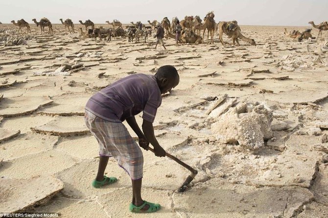 Danakil Depression And Lalibela 5 Days Tours - Booking Information