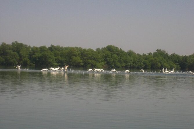 **Danube Delta Trips on the Camely Boat: Departing From Tulcea** - Scenic Views and Wildlife