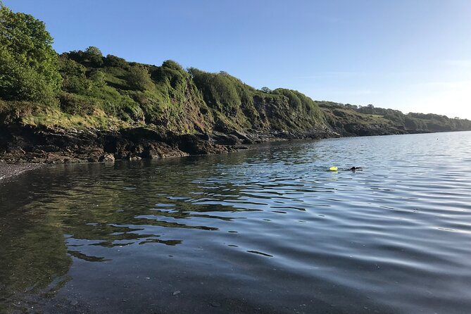 Dawn Pilgrimage and Swim in West Cork - Contact for Assistance