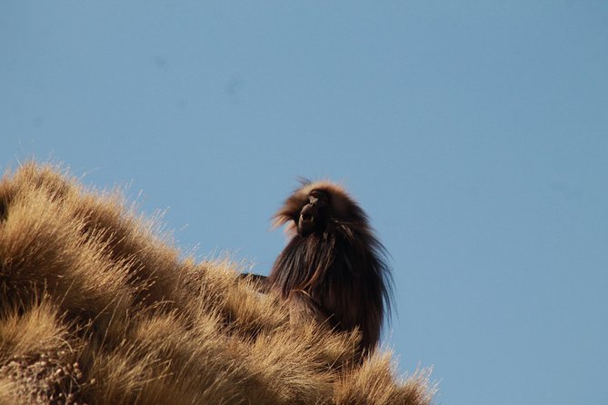 Day Hike Around Lalibela - Frequently Asked Questions