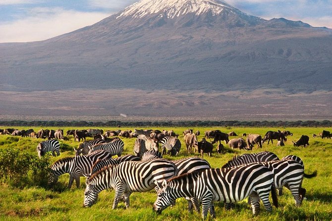 Day Tour Nairobi National Park - Dress Code and Weather