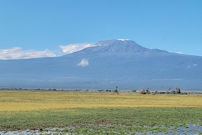 Day Tour To Amboseli National Park From Nairobi - Optional Activities