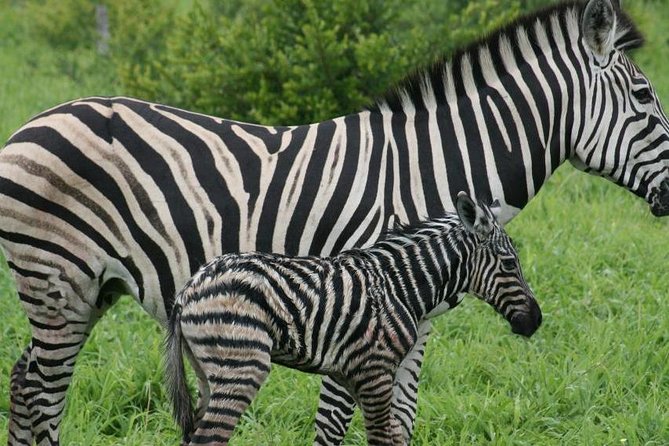 Day Tour to Hells Gate and Optional Boat Ride at Lake Naivasha - Inclusions and Additional Fees