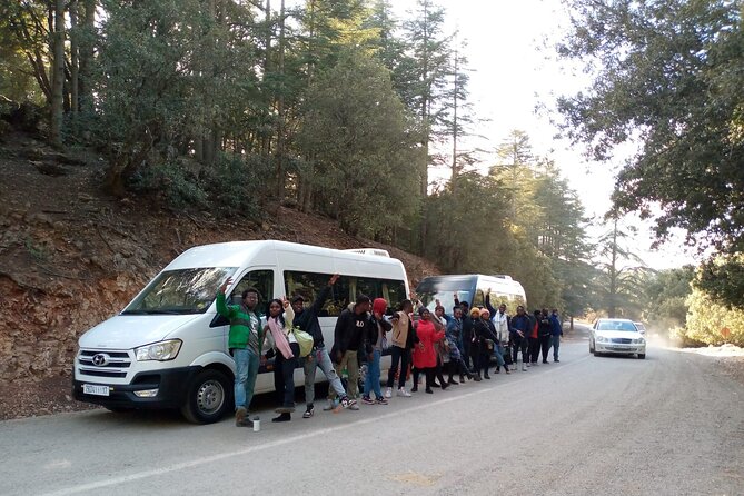 Day Trip From Fez to Middle Atlas Mountain - Accessibility Features