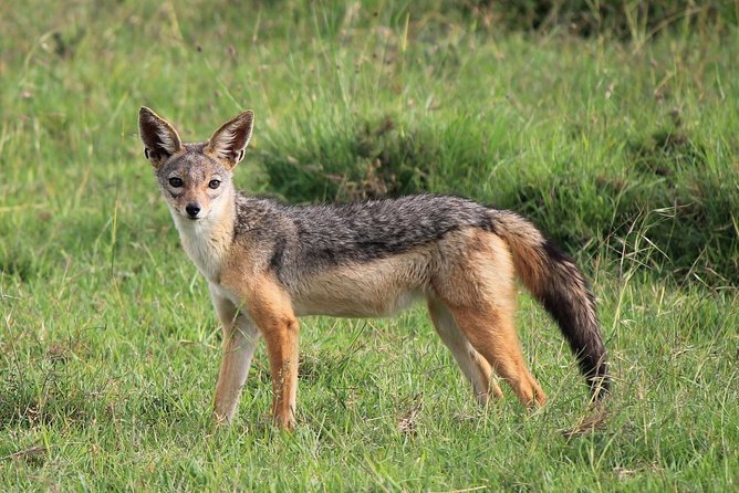 Day Trip to Ol Pejeta Conservancy From Nairobi - Experiencing the Equator Crossing