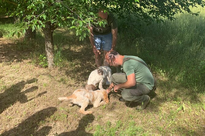 Day Trip: Truffle Hunting With Lunch and Spello Guided Tour - Additional Details