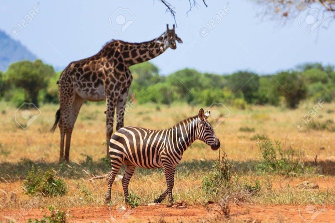 Day Trip - Tsavo East National Park ( Man Eater Lions of Tsavo & Other Big Five) - What to Bring