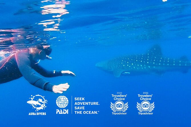 Daymaniyat Island: 2-Dive Scuba Adventure! - Traveler Recommendations and Ratings